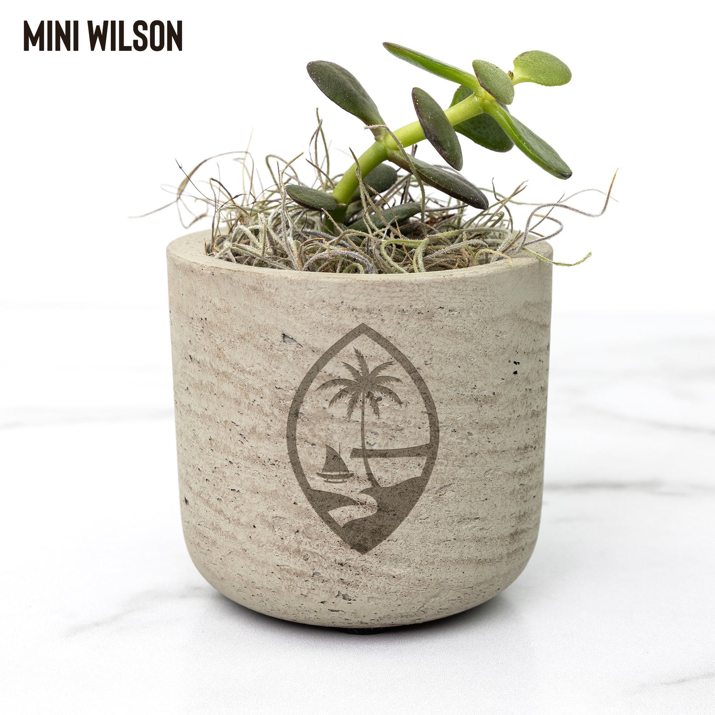 Guam Seal Desk Plant