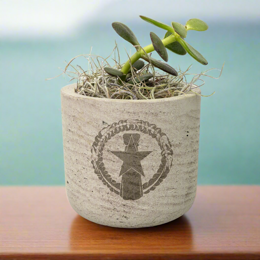 CNMI Saipan Tinian Rota Desk Plant