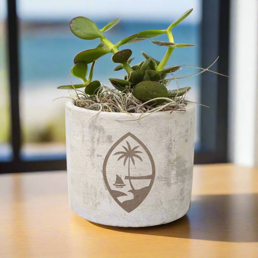 Guam Seal Desk Plant