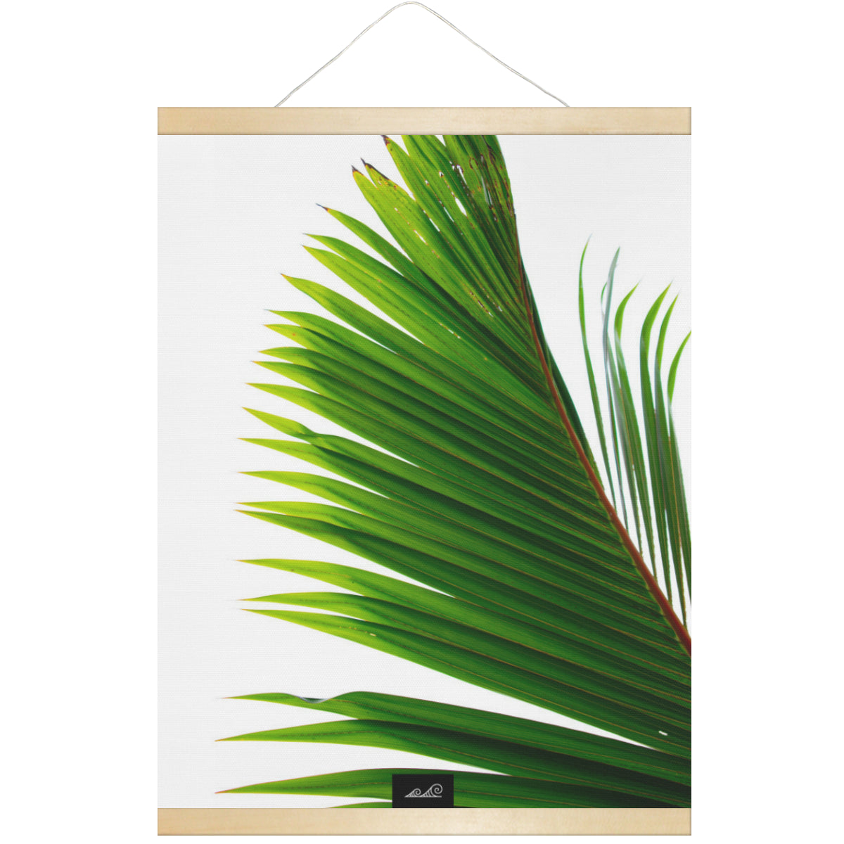 Coconut Tree Leaf Guam CNMI Hanging Canvas Poster with Wood Frame