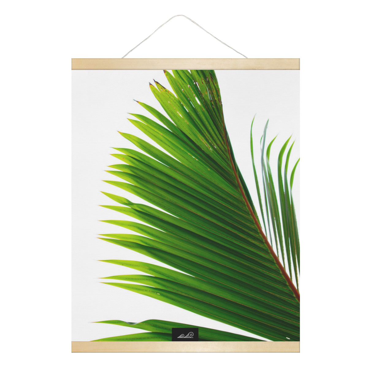 Coconut Tree Leaf Guam CNMI Hanging Canvas Poster with Wood Frame